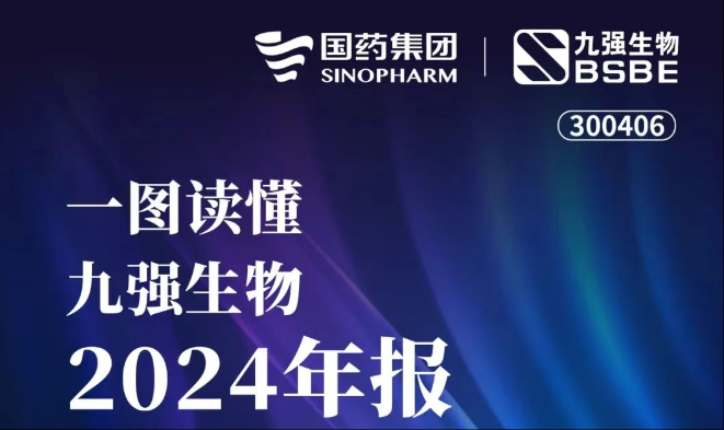一圖讀懂九強生物2024年報
